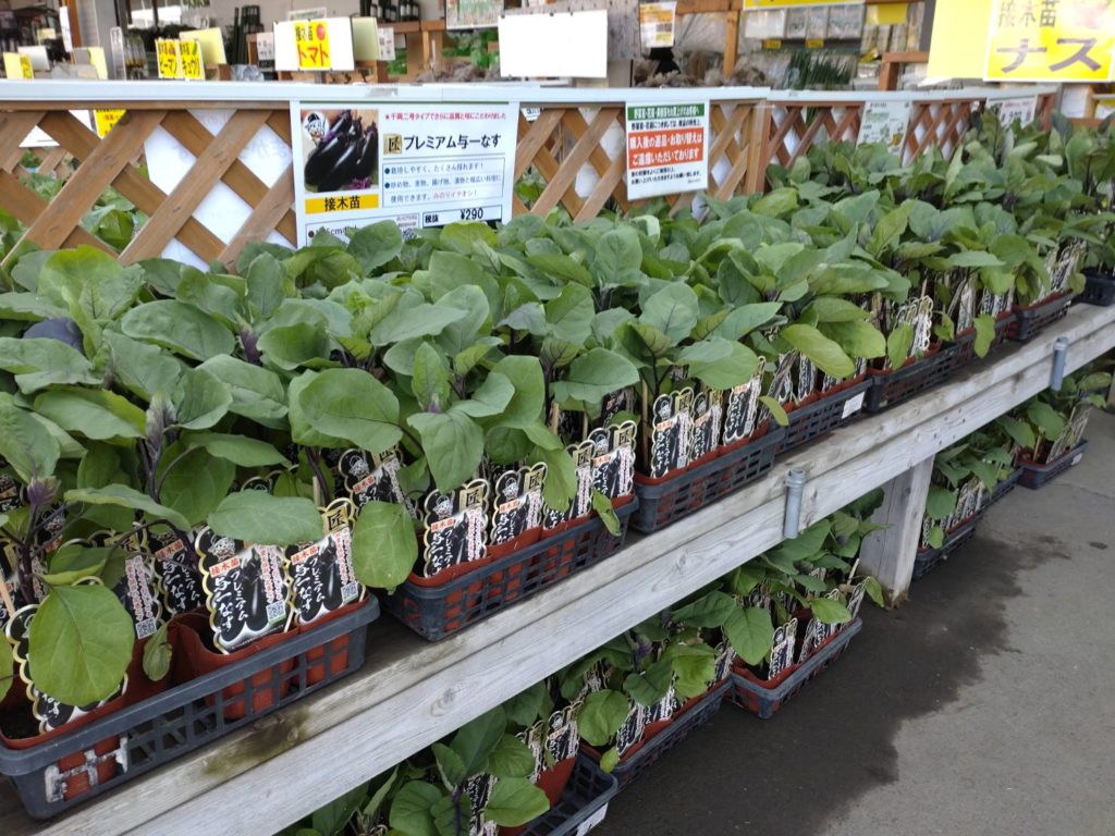 栃木で野菜苗を買うならファーム&ガーデン農家の店みのりへ｜豊富な品ぞろえと専門スタッフが強み