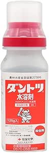 ダントツ